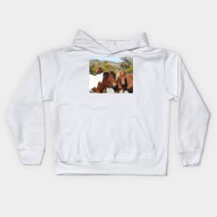 Wild horses, Assateague Island, Wildlife, Gifts Kids Hoodie